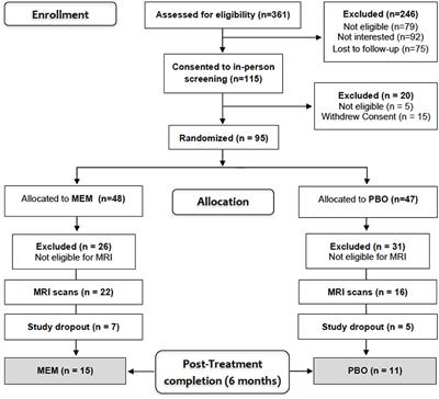 Regional White Matter Integrity Predicts Treatment Response to Escitalopram and Memantine in Geriatric Depression: A Pilot Study